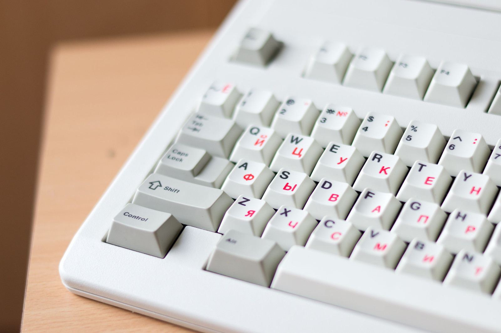 G81-3100 SAV