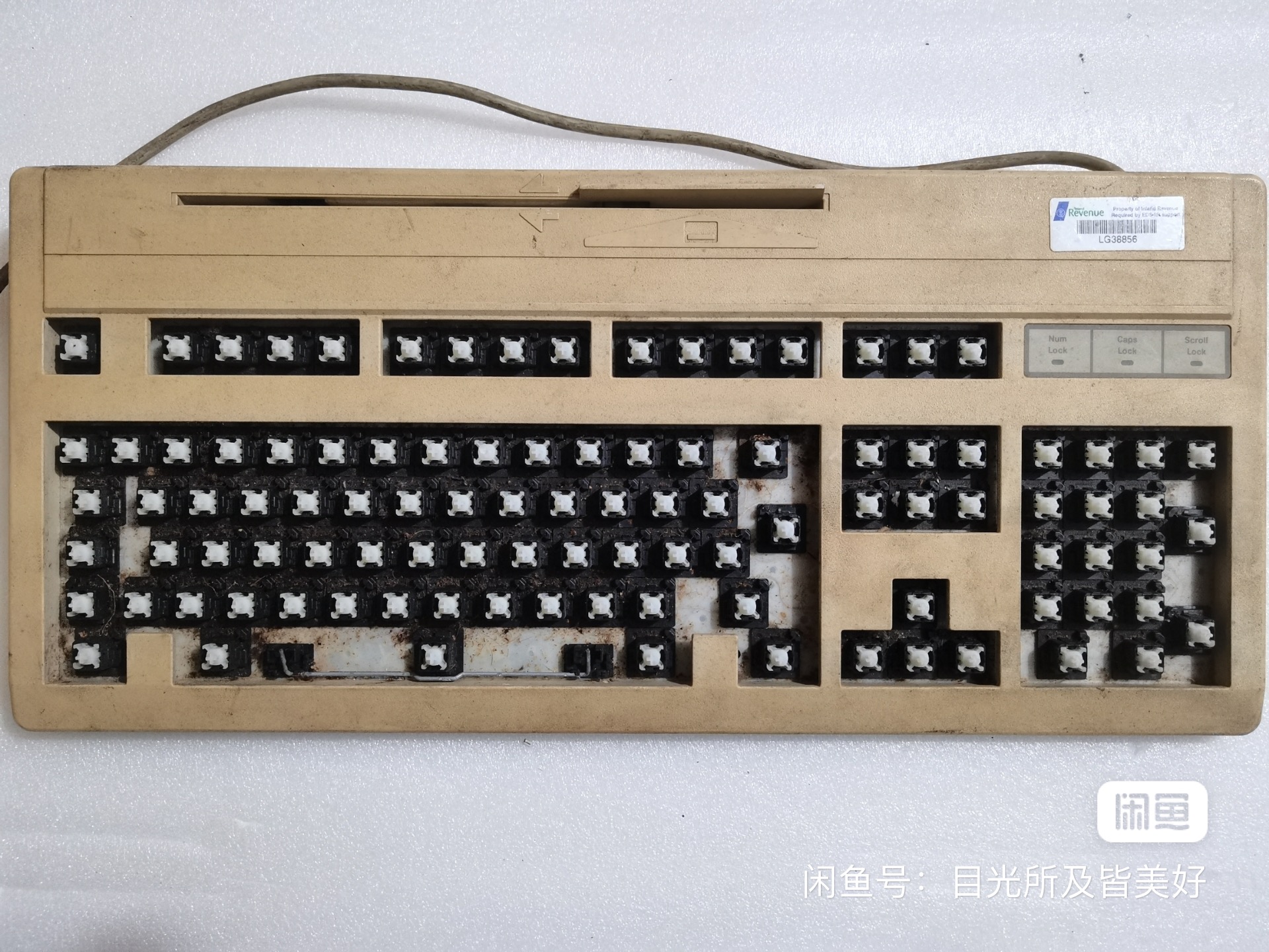 G81-3100 SFBGB