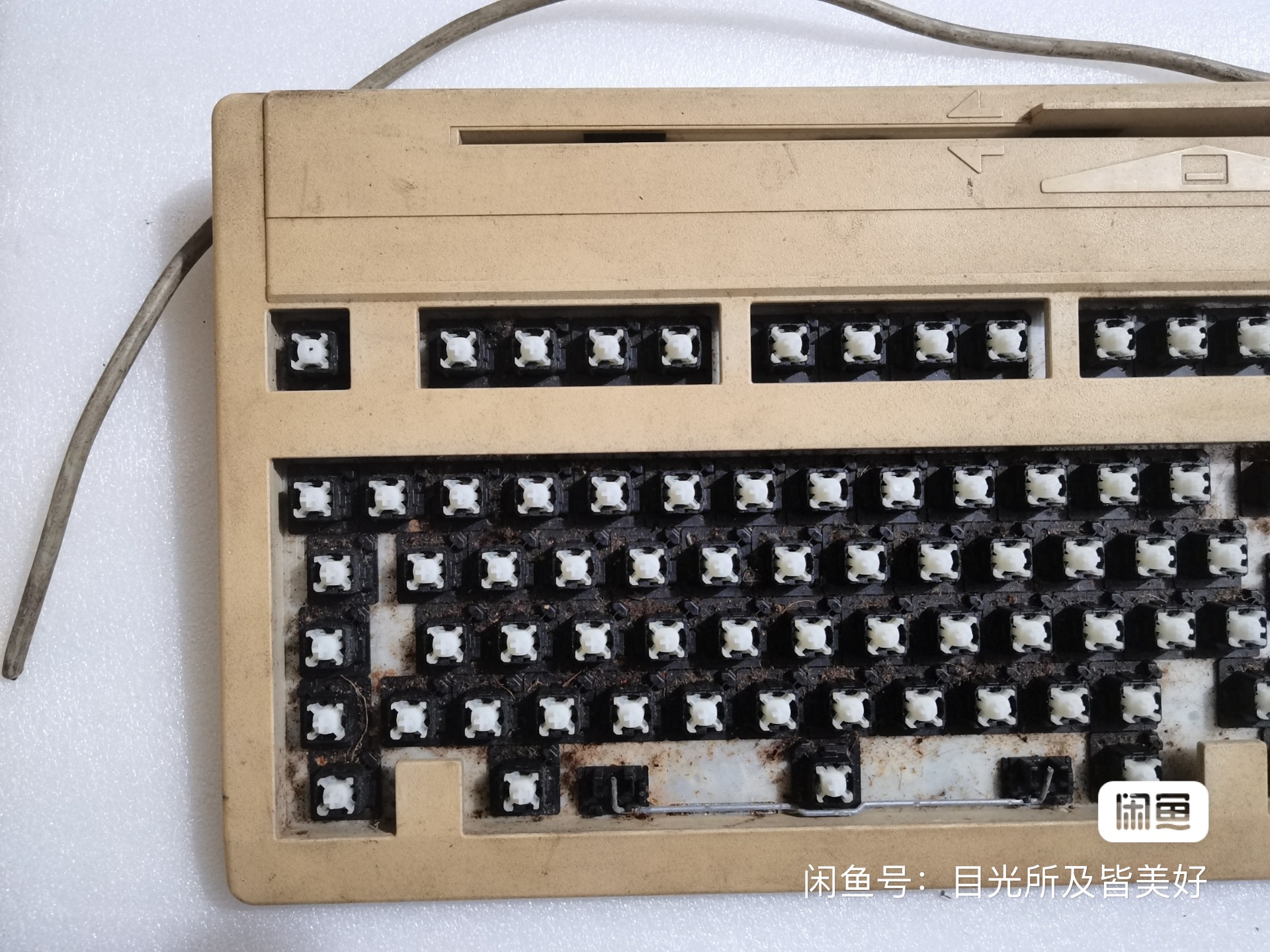 G81-3100 SFBGB