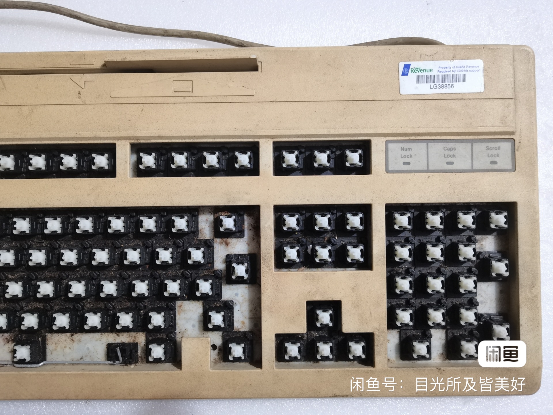 G81-3100 SFBGB