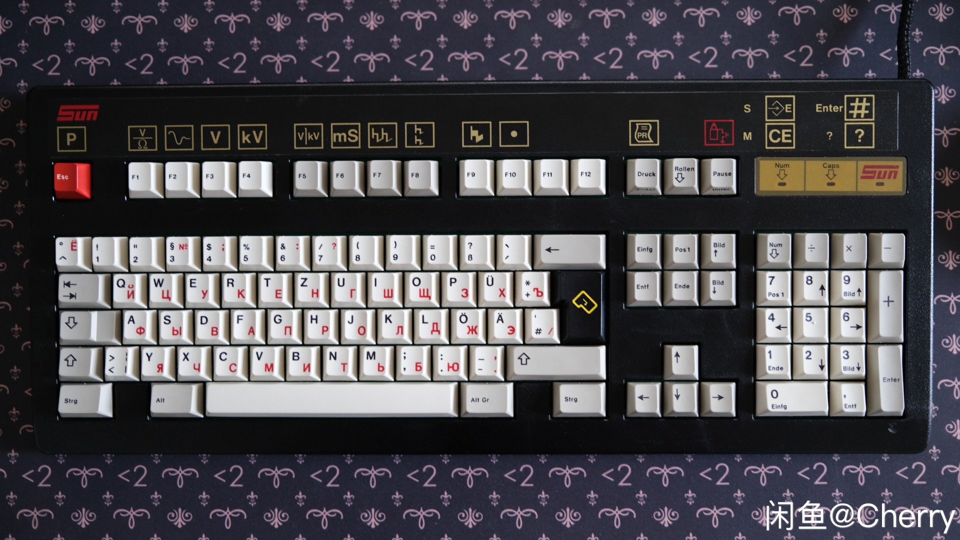 G81-3219 HAD