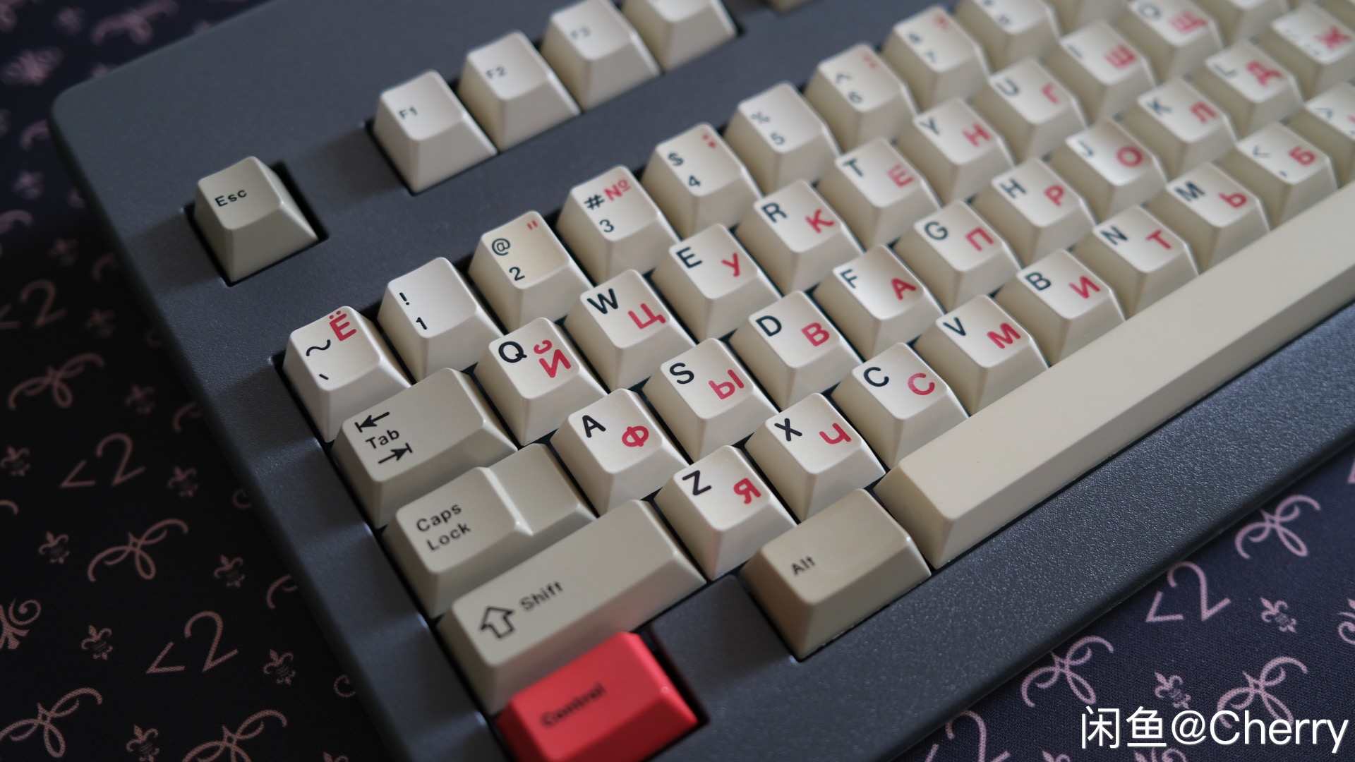 G81-3221 HAU