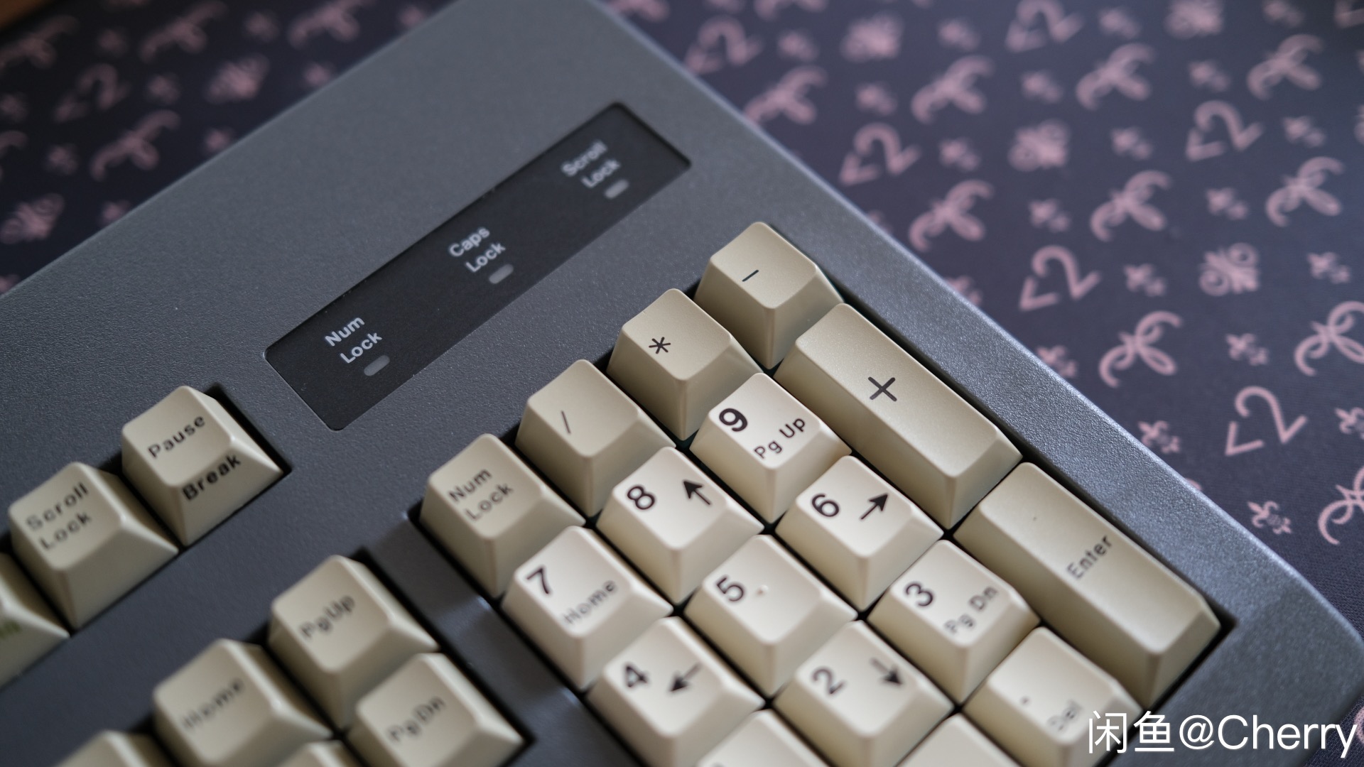 G81-3221 HAU