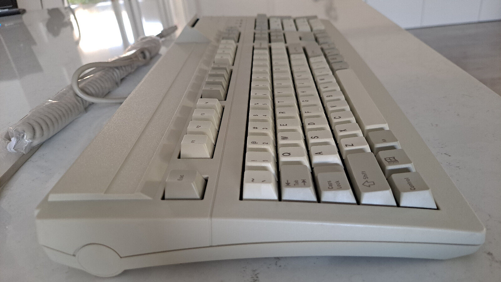 G81-8010 LQAUS