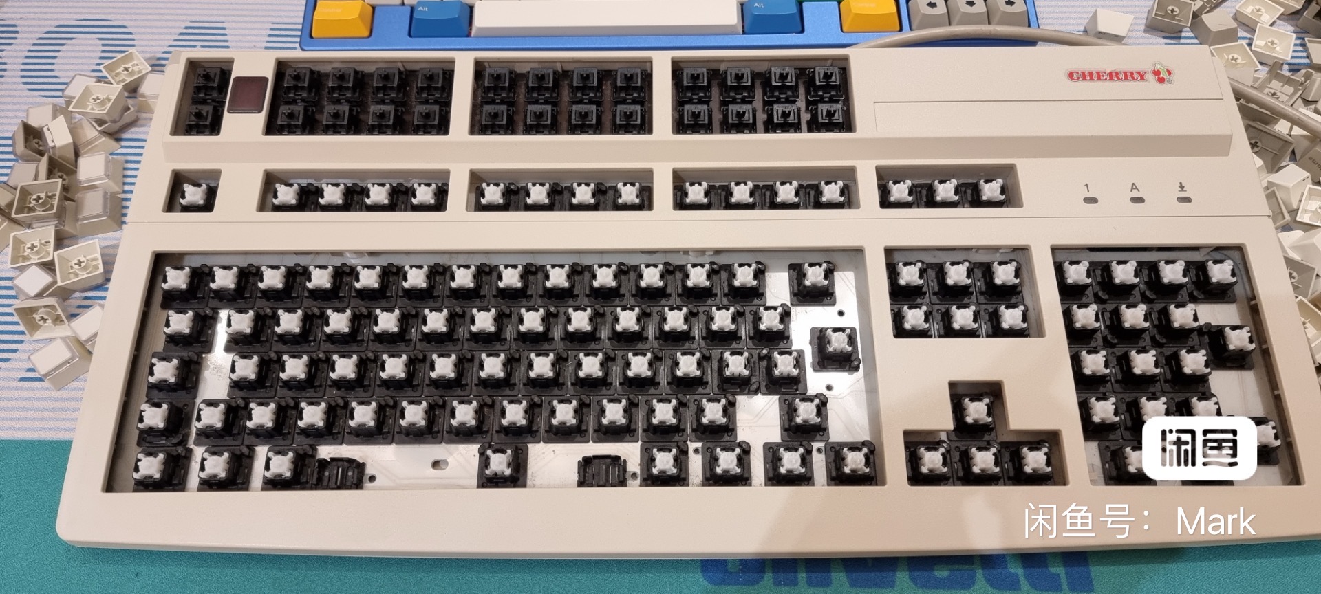 G81-8308 LPACH