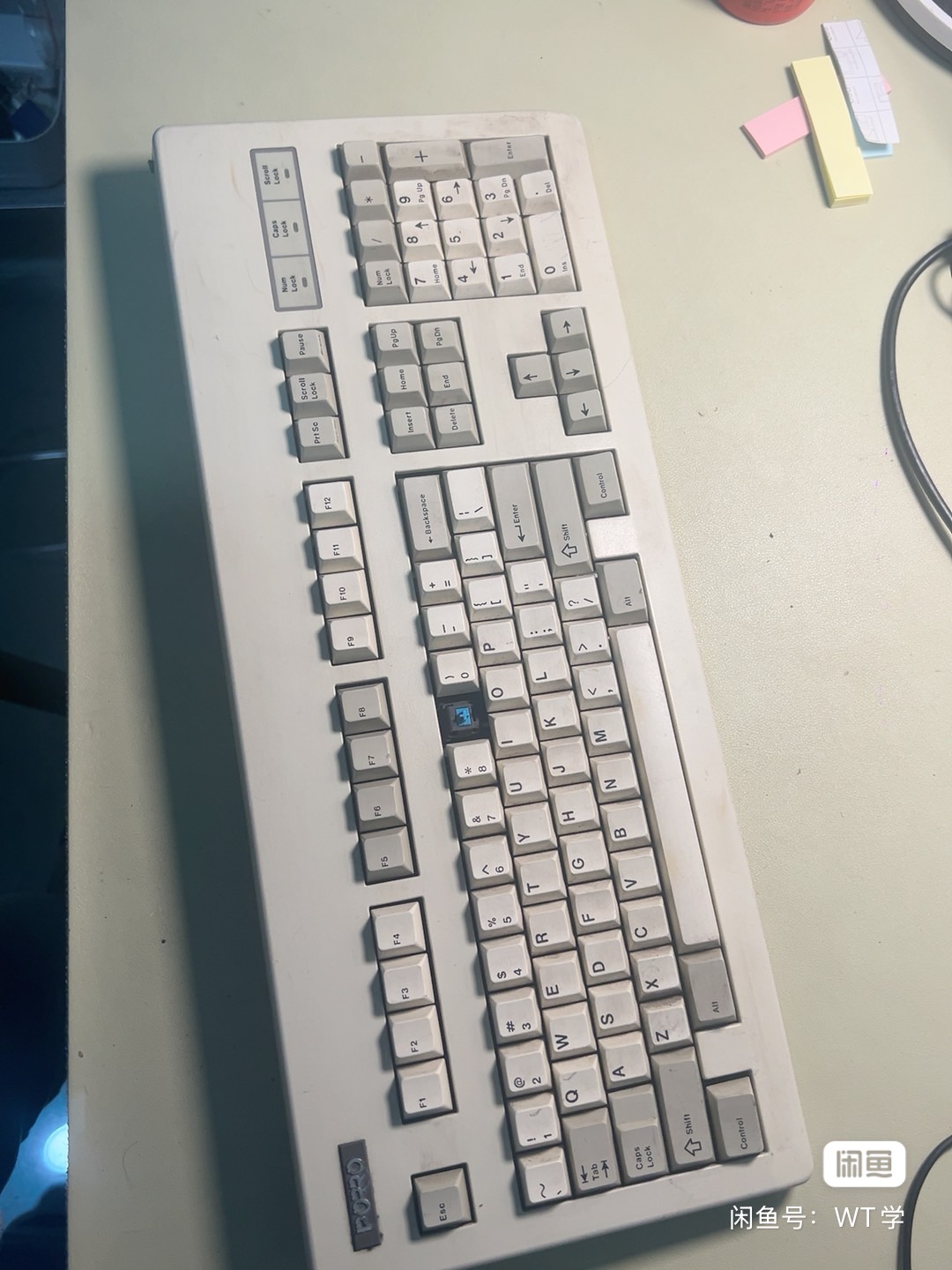 Cherry PORRP